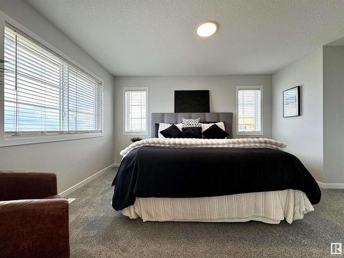 12888 214 Street, Edmonton, AB - Indoor Photo Showing Bedroom