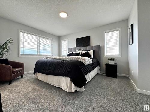 12888 214 Street, Edmonton, AB - Indoor Photo Showing Bedroom