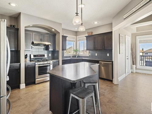 3908 164 Avenue, Edmonton, AB - Indoor Photo Showing Kitchen With Double Sink