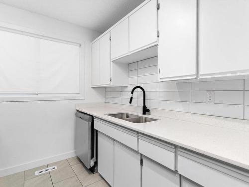 341 Northgate Terrace, Edmonton, AB - Indoor Photo Showing Kitchen With Double Sink