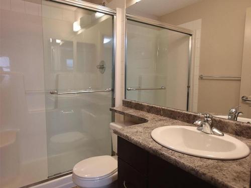 407 6070 Schonsee Way, Edmonton, AB - Indoor Photo Showing Bathroom