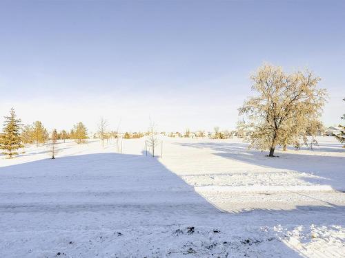 8904 170A Avenue, Edmonton, AB - Outdoor With View