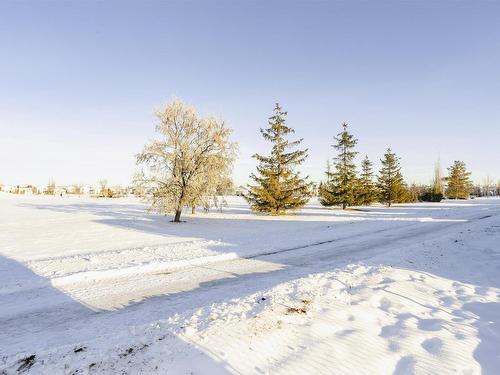 8904 170A Avenue, Edmonton, AB - Outdoor With View