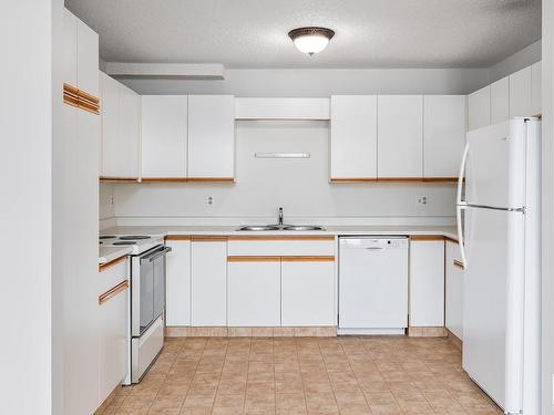 205 9138 83 Avenue, Edmonton, AB - Indoor Photo Showing Kitchen With Double Sink