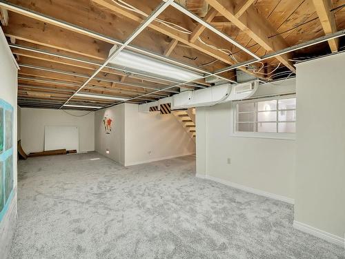 10511 131 Street, Edmonton, AB - Indoor Photo Showing Basement