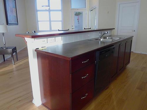 418 9507 101 Avenue Nw, Edmonton, AB - Indoor Photo Showing Kitchen With Double Sink