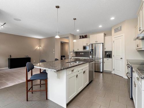 805 Armitage Wynd, Edmonton, AB - Indoor Photo Showing Kitchen With Double Sink With Upgraded Kitchen