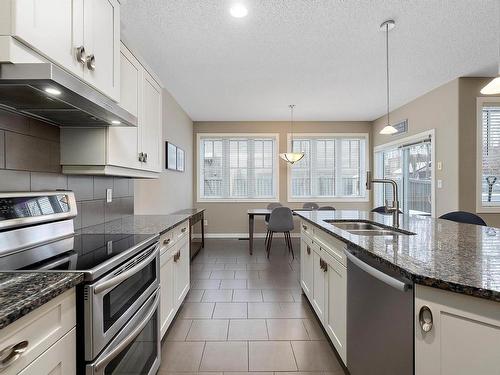 805 Armitage Wynd, Edmonton, AB - Indoor Photo Showing Kitchen With Double Sink With Upgraded Kitchen