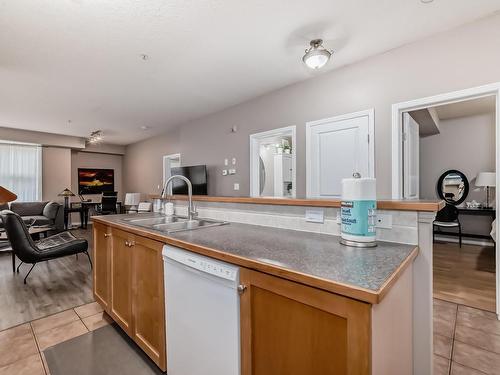 101 8619 111 Street, Edmonton, AB - Indoor Photo Showing Kitchen With Double Sink