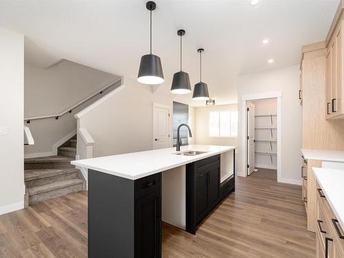 9351 222 Street, Edmonton, AB - Indoor Photo Showing Kitchen With Upgraded Kitchen