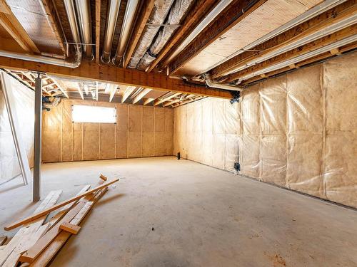 9351 222 Street, Edmonton, AB - Indoor Photo Showing Basement