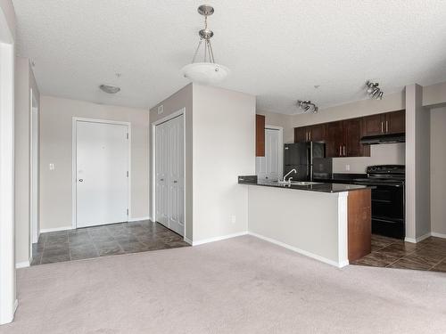 214 12025 22 Avenue, Edmonton, AB - Indoor Photo Showing Kitchen