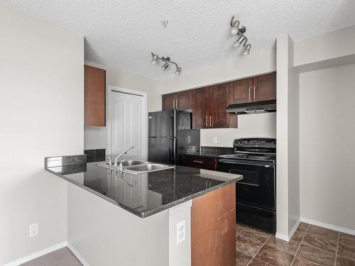 214 12025 22 Avenue, Edmonton, AB - Indoor Photo Showing Kitchen With Double Sink