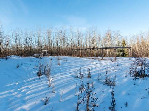 121 20212 Twp Road 510, Rural Strathcona County, AB - Outdoor