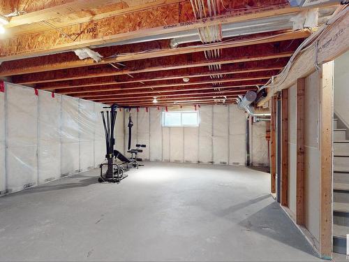 1120 117 Street, Edmonton, AB - Indoor Photo Showing Basement