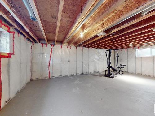 1120 117 Street, Edmonton, AB - Indoor Photo Showing Basement