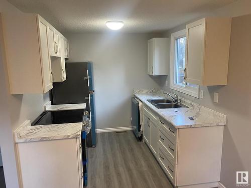 20 Willowdale Place, Edmonton, AB - Indoor Photo Showing Kitchen With Double Sink