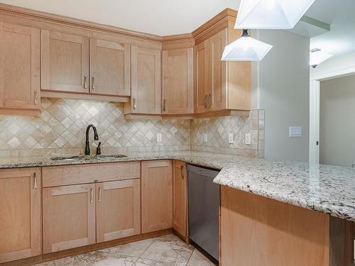 224 10142 111 Street, Edmonton, AB - Indoor Photo Showing Kitchen With Double Sink