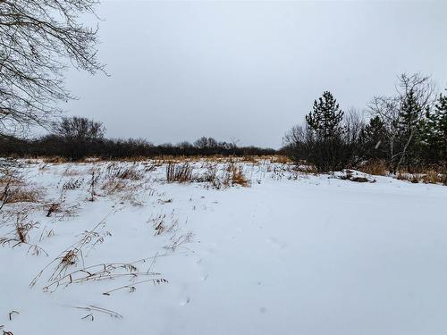 325 52306 Rge Road 212, Rural Strathcona County, AB - Outdoor With View