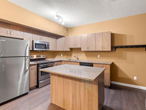 514 10518 113 Street, Edmonton, AB - Indoor Photo Showing Kitchen With Double Sink