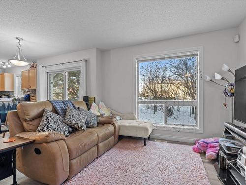 29 12050 17 Avenue, Edmonton, AB - Indoor Photo Showing Living Room