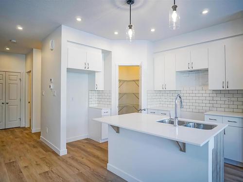 9708 Carson Place, Edmonton, AB - Indoor Photo Showing Kitchen With Double Sink With Upgraded Kitchen