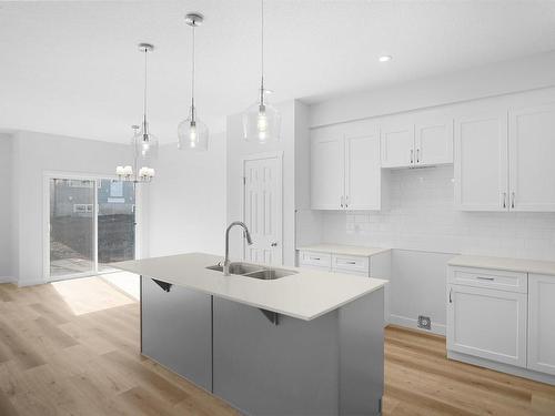 9706 Carson Place, Edmonton, AB - Indoor Photo Showing Kitchen With Double Sink With Upgraded Kitchen