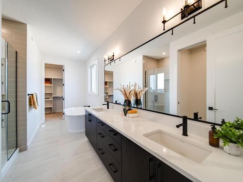 18 Newbury Circle, Sherwood Park, AB - Indoor Photo Showing Bathroom