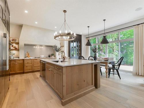 5820 108A Street, Edmonton, AB - Indoor Photo Showing Kitchen With Upgraded Kitchen