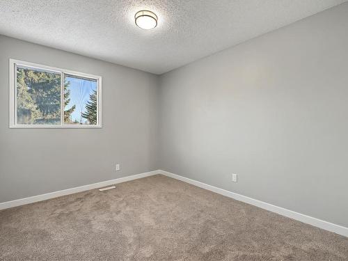 6247 187 Street, Edmonton, AB - Indoor Photo Showing Other Room