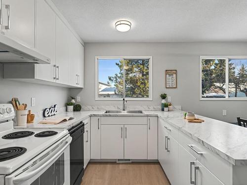 6247 187 Street, Edmonton, AB - Indoor Photo Showing Kitchen