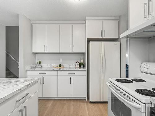 6247 187 Street, Edmonton, AB - Indoor Photo Showing Kitchen