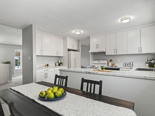 6247 187 Street, Edmonton, AB - Indoor Photo Showing Kitchen