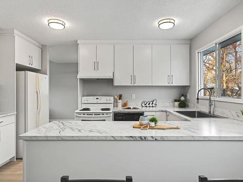 6247 187 Street, Edmonton, AB - Indoor Photo Showing Kitchen