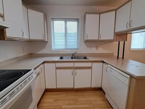 103 10810 86 Avenue, Edmonton, AB - Indoor Photo Showing Kitchen With Double Sink