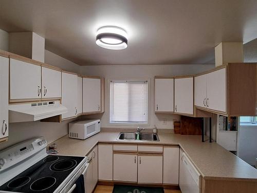 103 10810 86 Avenue, Edmonton, AB - Indoor Photo Showing Kitchen With Double Sink