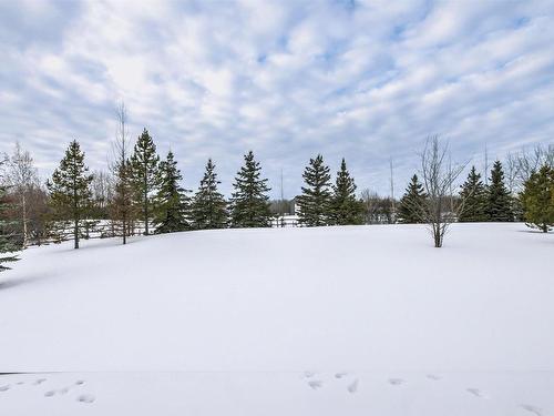 1 53526 Rge Road 273, Rural Parkland County, AB - Outdoor With View