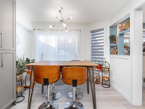 8776 189 Street, Edmonton, AB - Indoor Photo Showing Living Room