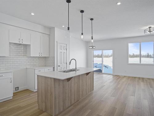 4668 177 Avenue, Edmonton, AB - Indoor Photo Showing Kitchen With Double Sink With Upgraded Kitchen