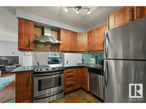 201 11503 100 Avenue, Edmonton, AB - Indoor Photo Showing Kitchen