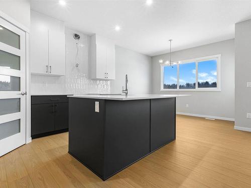 1507 11 Avenue, Edmonton, AB - Indoor Photo Showing Kitchen With Upgraded Kitchen