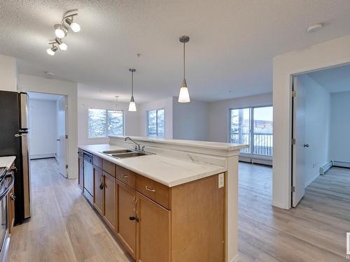 218 1180 Hyndman Road, Edmonton, AB - Indoor Photo Showing Kitchen With Double Sink