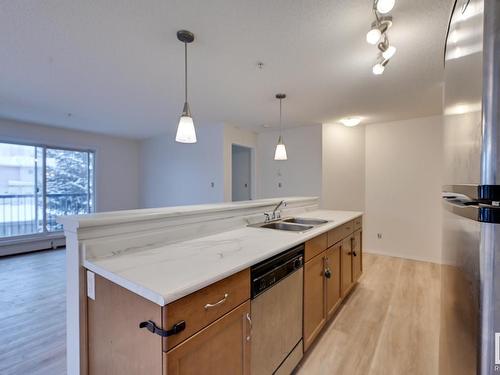 218 1180 Hyndman Road, Edmonton, AB - Indoor Photo Showing Kitchen With Double Sink