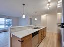 218 1180 Hyndman Road, Edmonton, AB  - Indoor Photo Showing Kitchen With Double Sink 