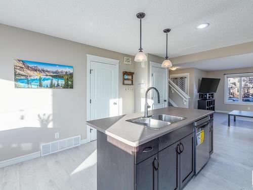 2159 Trumpeter Way, Edmonton, AB - Indoor Photo Showing Kitchen With Double Sink