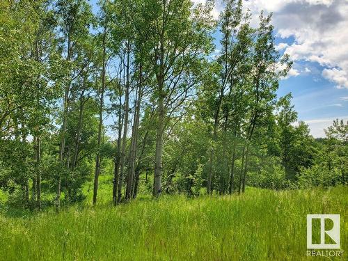 39 Bruhn Bend, Rural Ponoka County, AB 