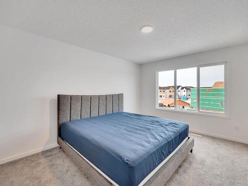 2239 190St Nw, Edmonton, AB - Indoor Photo Showing Bedroom