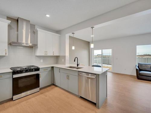 2239 190St Nw, Edmonton, AB - Indoor Photo Showing Kitchen With Double Sink With Upgraded Kitchen