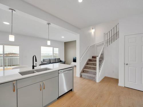 2239 190St Nw, Edmonton, AB - Indoor Photo Showing Kitchen With Double Sink