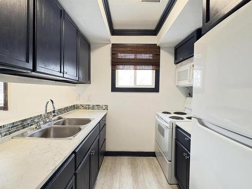 301 Lancaster Terrace, Edmonton, AB - Indoor Photo Showing Kitchen With Double Sink